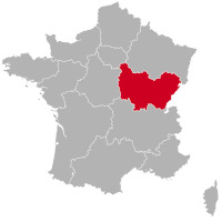 Criadores de Golden Retriever y cachorros en Bourgogne-Franche-Comté,
