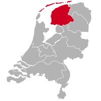 Criadores de Golden Retriever y cachorros en Frisia,