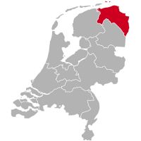 Criador de Setter Irlandés Rojo y cachorros en Groningen,