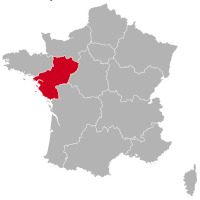 Criadores de Golden Retriever y cachorros en Pays de la Loire,