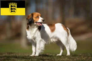 Lee más sobre el artículo Criadores de Kooikerhondje holandés y cachorros en Baden-Württemberg